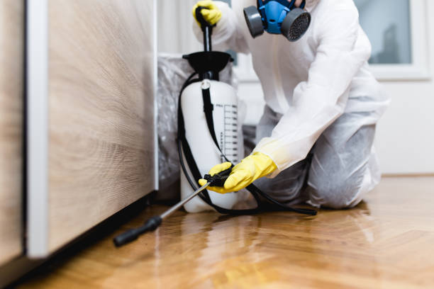 Best Cockroach Control Services  in Saugerties South, NY