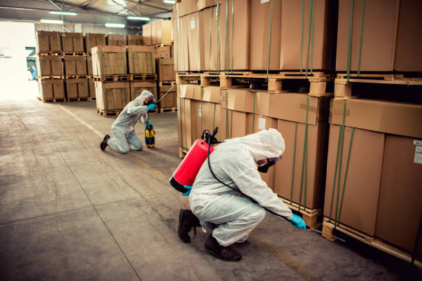 Best Flea Control Services  in Saugerties South, NY