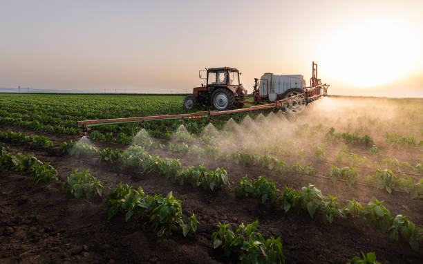 Best Pest Prevention Services  in Saugerties South, NY