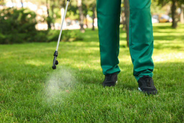 Best Local Pest Control Services  in Saugerties South, NY