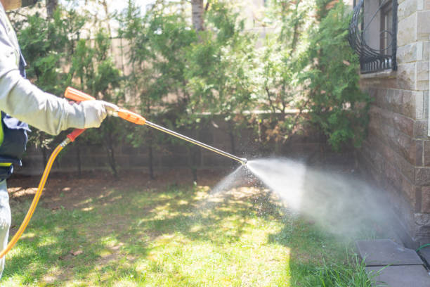Best Pest Inspection Near Me  in Saugerties South, NY