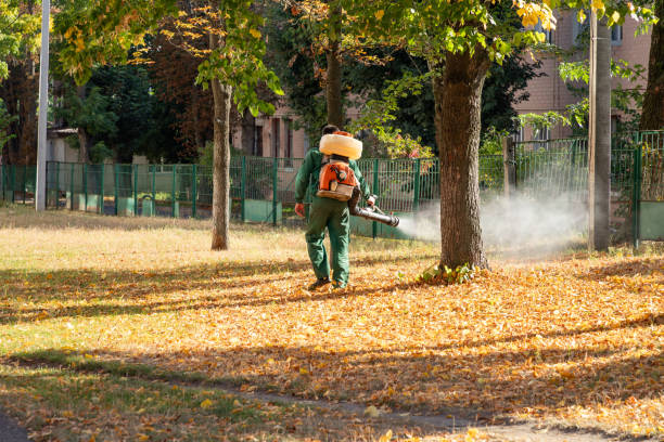 Best Best Pest Control Companies  in Saugerties South, NY
