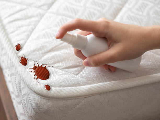 Best Pest Removal Services  in Saugerties South, NY